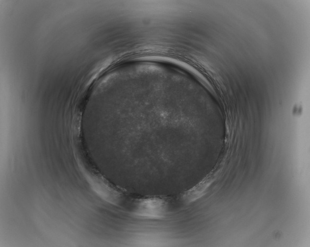 X0000090760168200707201511