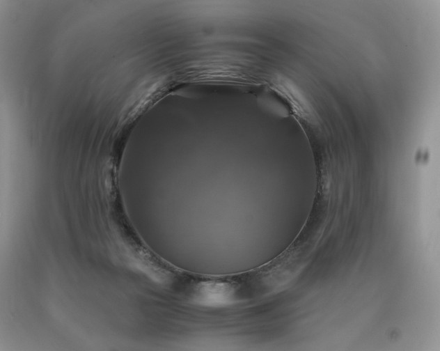 X0000090760169200707201511