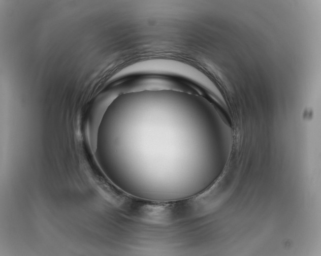 X0000090760170200707201511