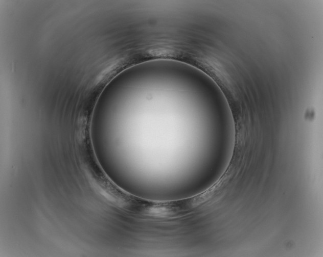 X0000090760171200707201511