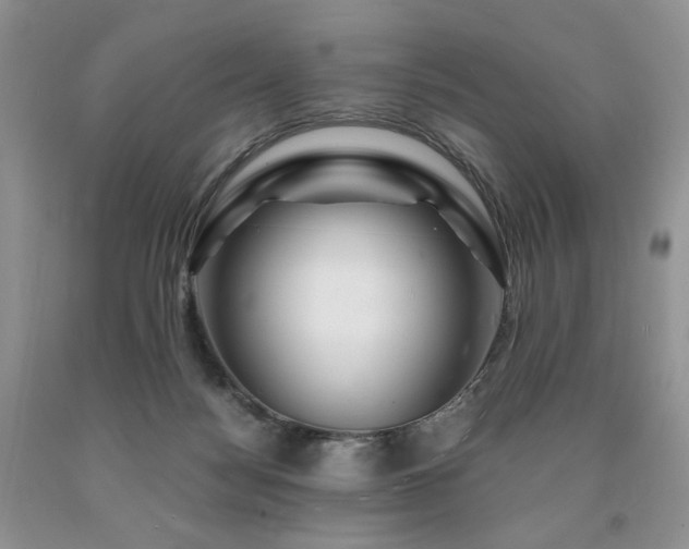 X0000090760172200707201511