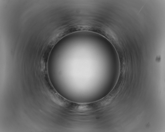 X0000090760173200707201511