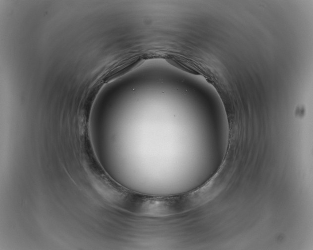 X0000090760174200707201511