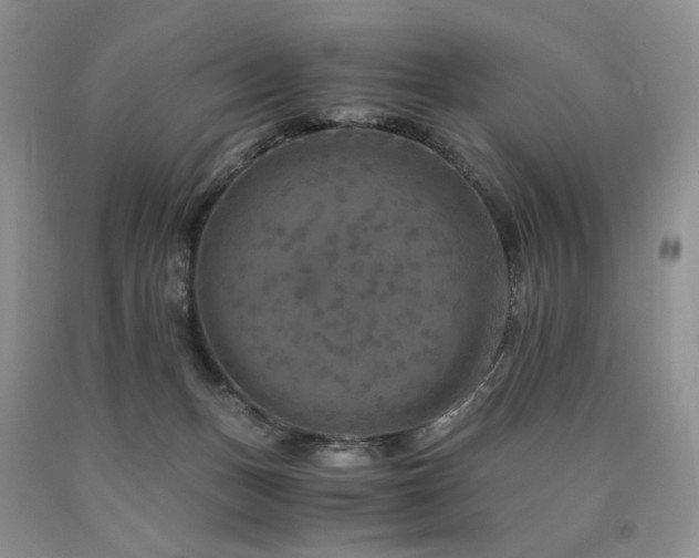 X0000090760175200707201511