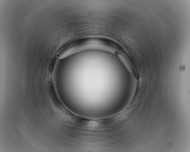 X0000090760176200707201511