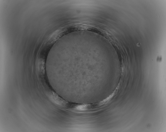 X0000090760178200707201511