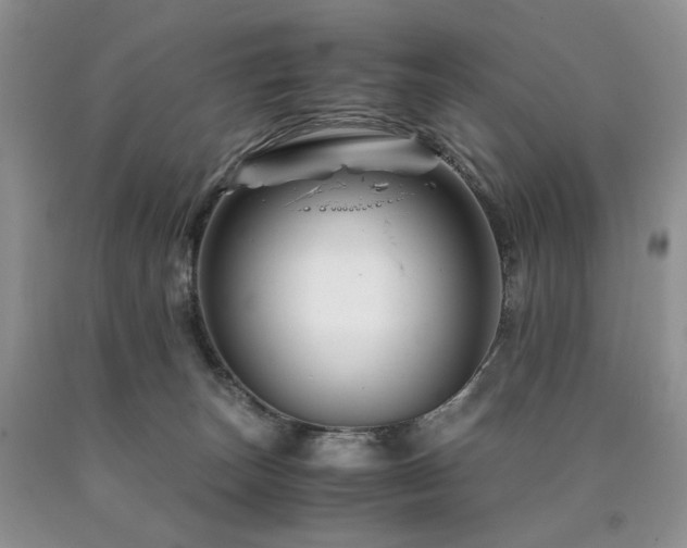 X0000090760179200707201511