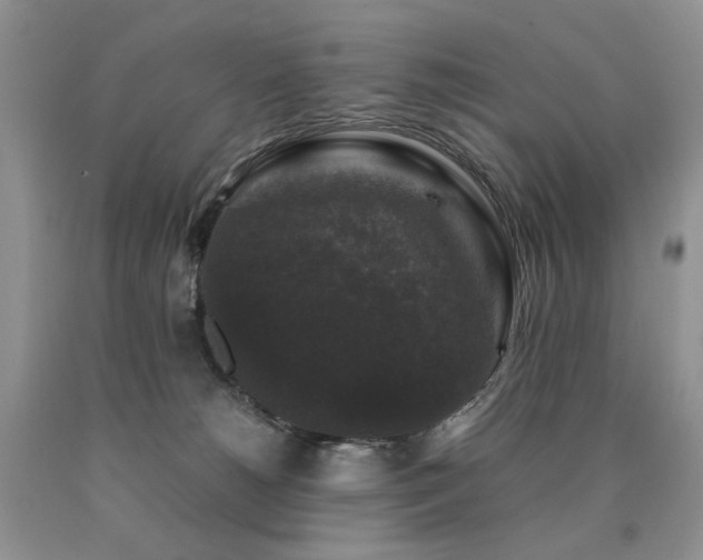 X0000090760180200707201511