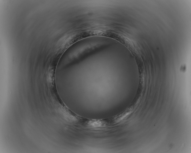 X0000090760181200707201511