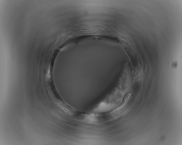 X0000090760182200707201511