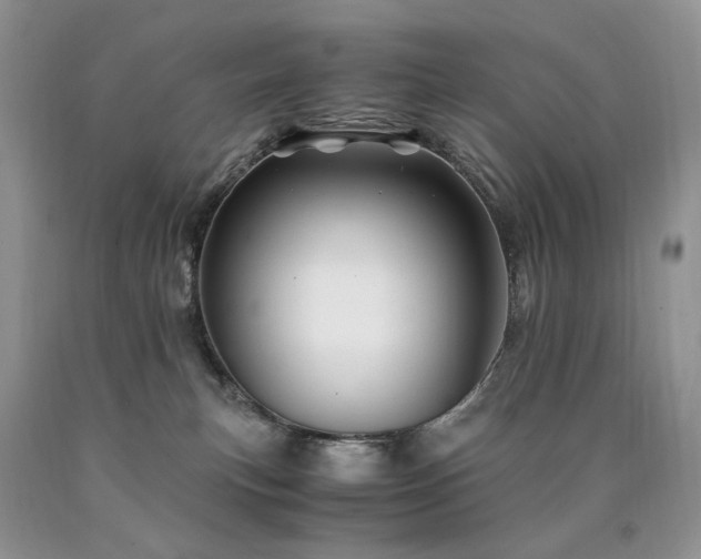 X0000090760183200707201511