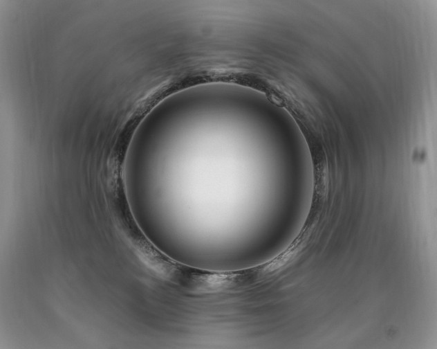 X0000090760184200707201511