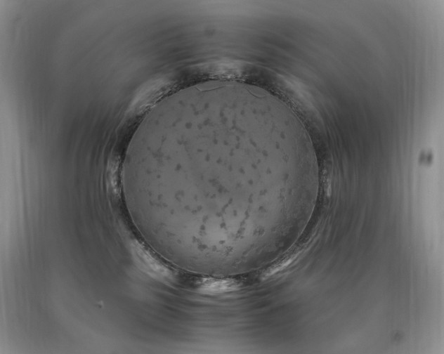 X0000090760185200707201511