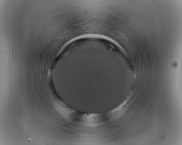 X0000090760186200707201511