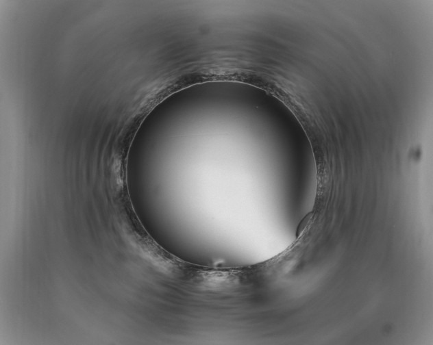 X0000090760187200707201511