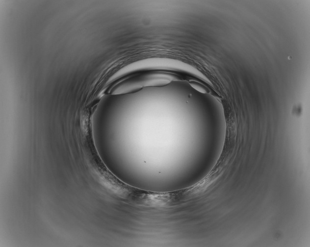 X0000090760188200707201511