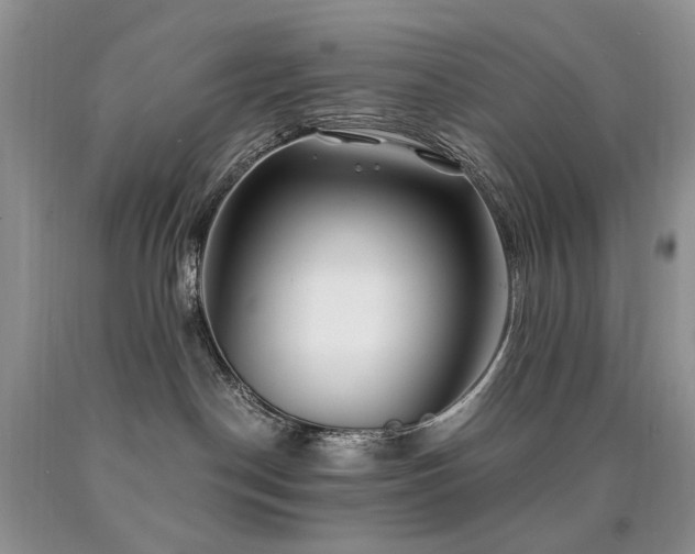 X0000090760190200707201511