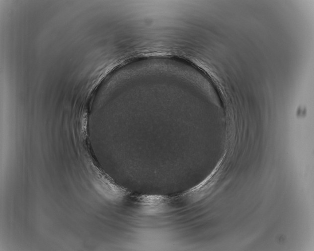 X0000090760192200707201511