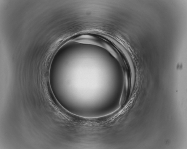 X0000090760193200707201510