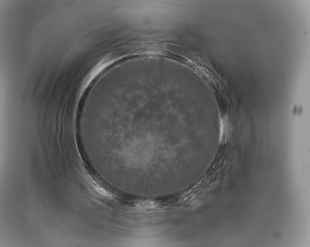 X0000090760195200707201510