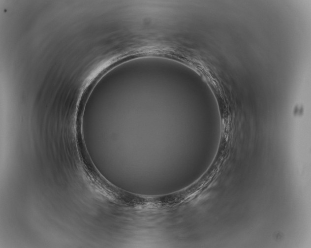 X0000090760196200707201510