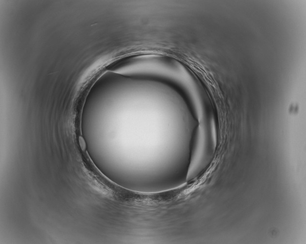 X0000090760197200707201510