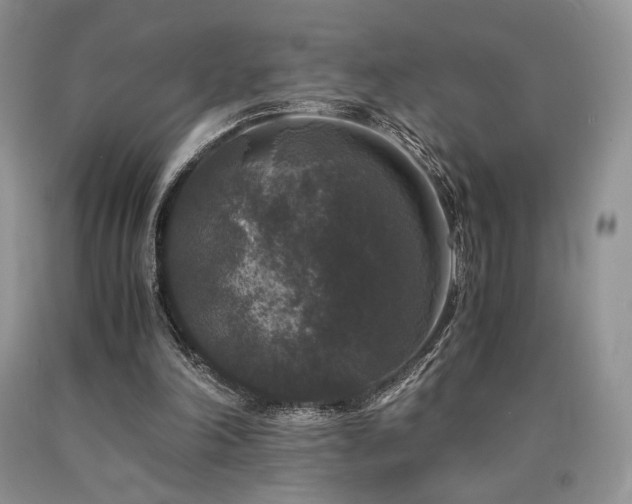 X0000090760198200707201510