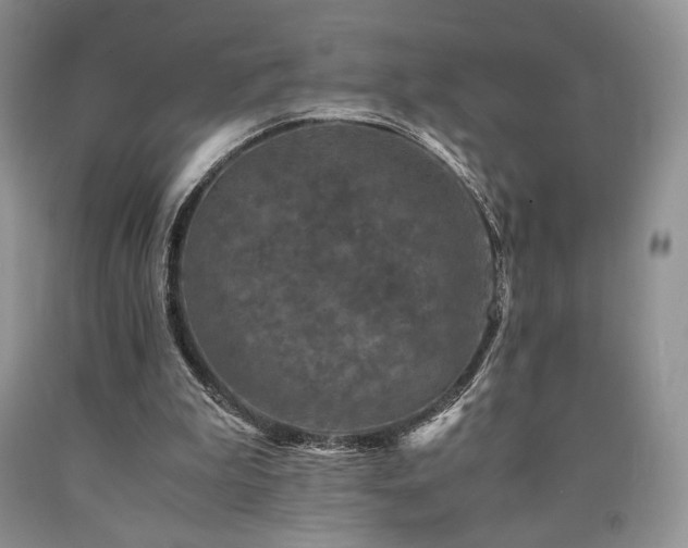 X0000090760199200707201510