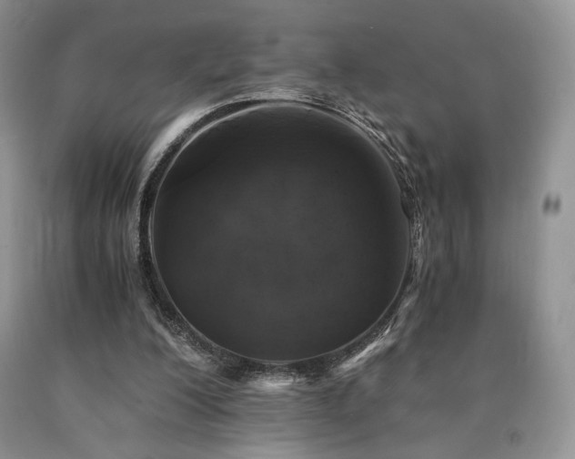 X0000090760200200707201510