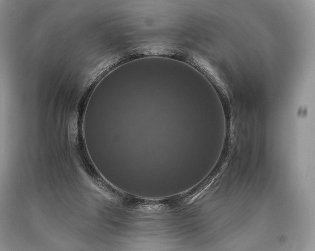 X0000090760202200707201510