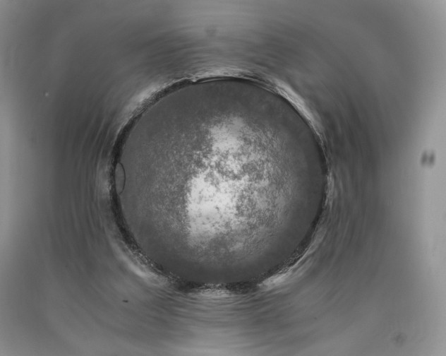 X0000090760203200707201510