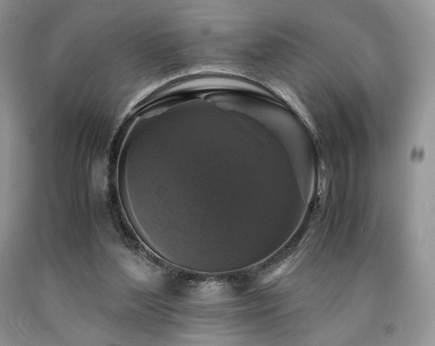 X0000090760204200707201510