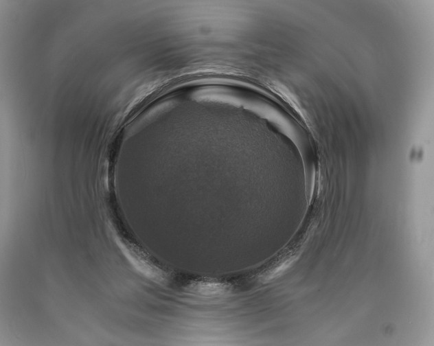 X0000090760205200707201510