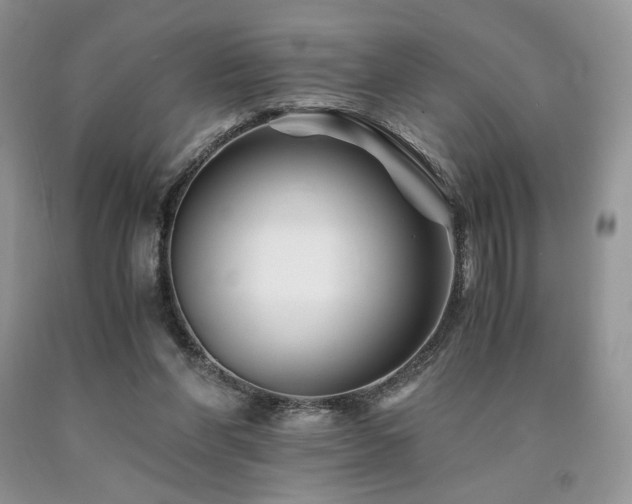 X0000090760206200707201510