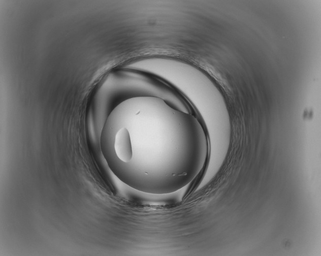 X0000090760207200707201510