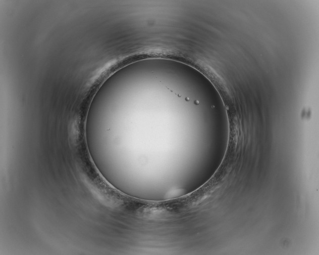 X0000090760208200707201510