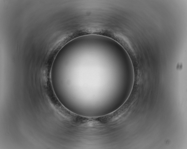 X0000090760210200707201510