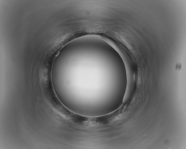 X0000090760211200707201510