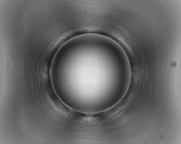 X0000090760212200707201510