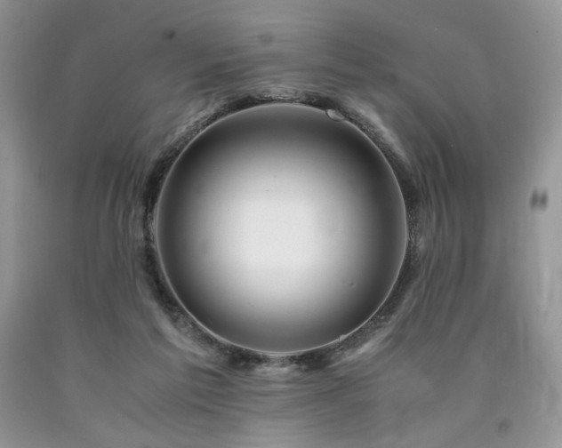 X0000090760213200707201510