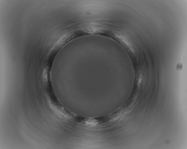 X0000090760214200707201510