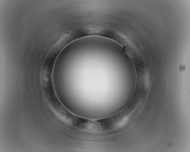 X0000090760215200707201510