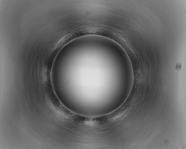 X0000090760216200707201510