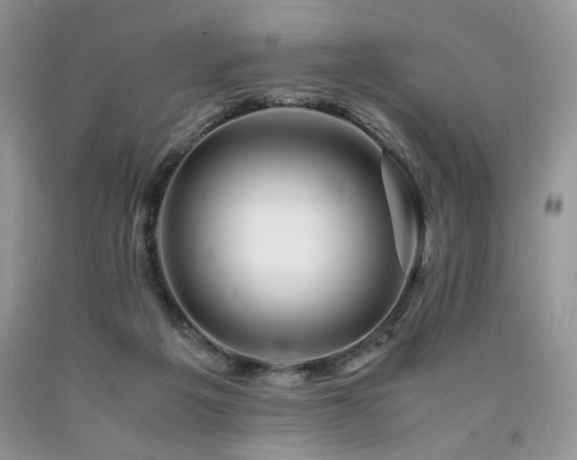 X0000090760217200707201510