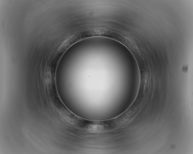 X0000090760220200707201510