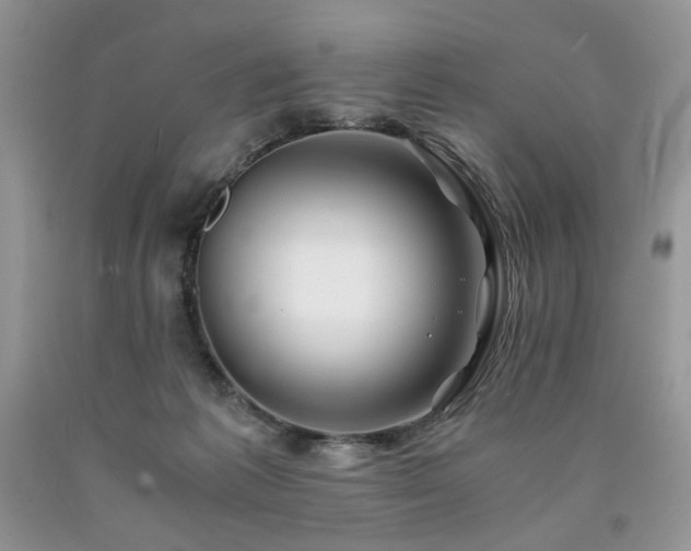 X0000090760221200707201510