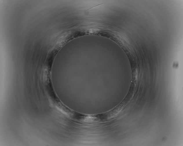 X0000090760222200707201510