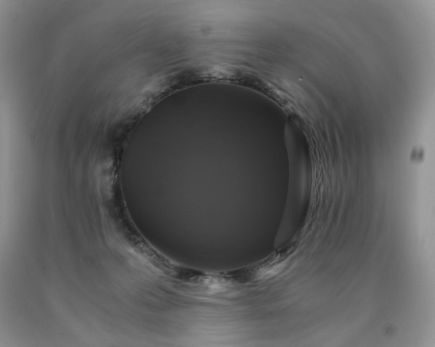 X0000090760223200707201510