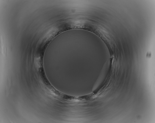 X0000090760224200707201510