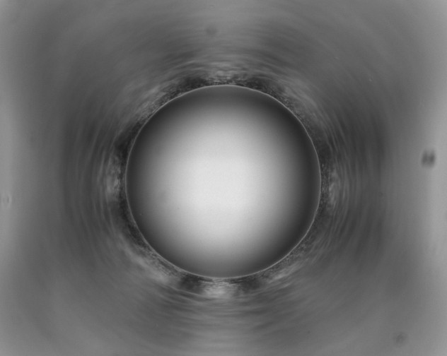 X0000090760226200707201510